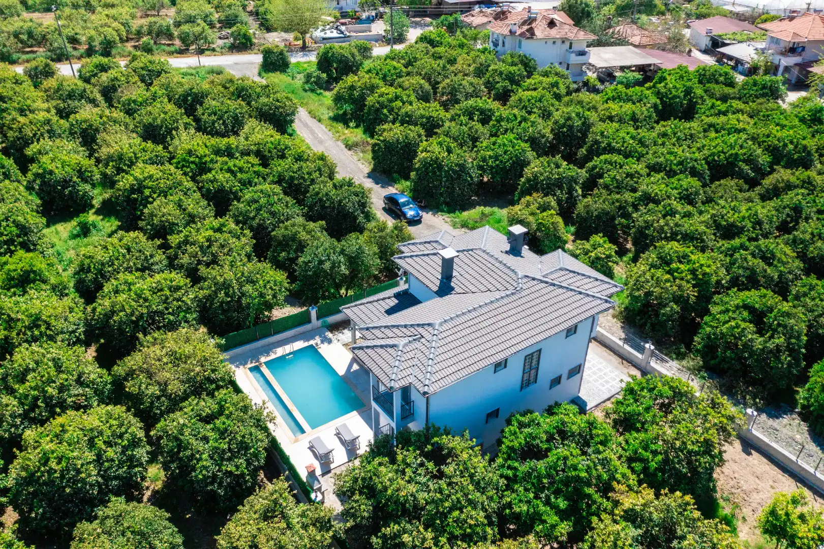DJi_0246_229.jpg