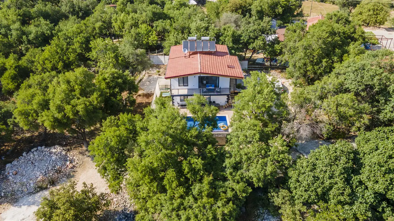 DJi_0961_353.jpg