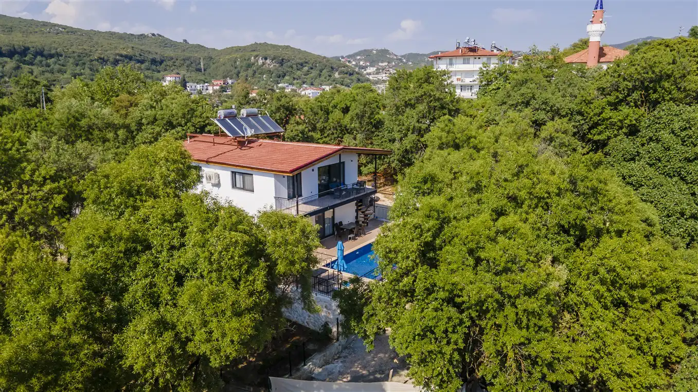 DJi_0965_3.jpg