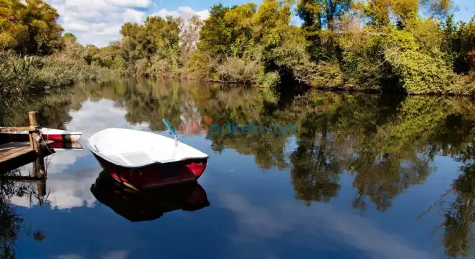 Yeşilin Ruhuna Dokunmak: Ağva'nın Derin Ormanlarında Bir Gezinti