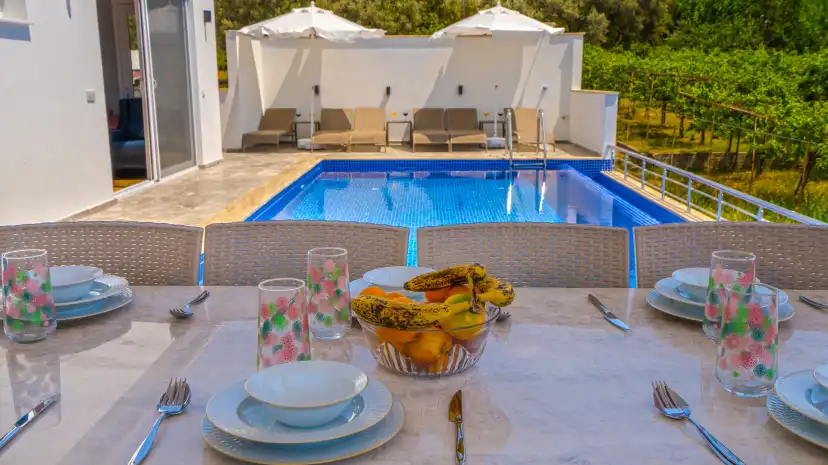 Ani-Villa-32_211.jpg
