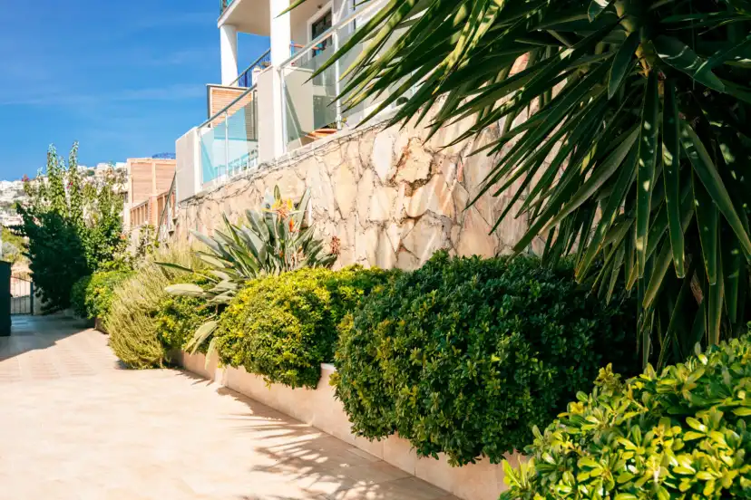 circis-villa-8_366_766.jpg