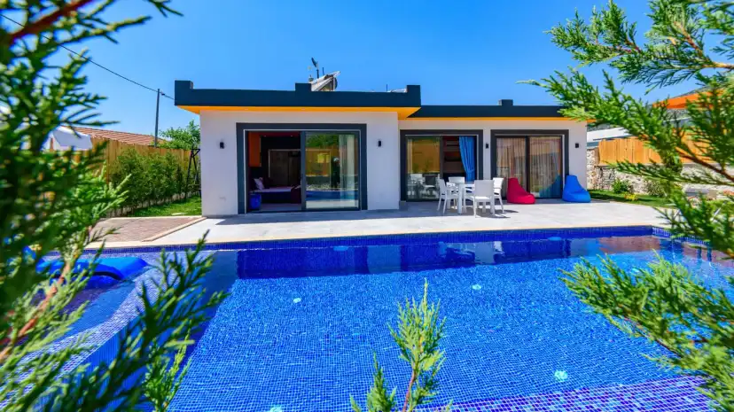 villa-paketiVilla-zeytin-cicegi-24_94.jpg